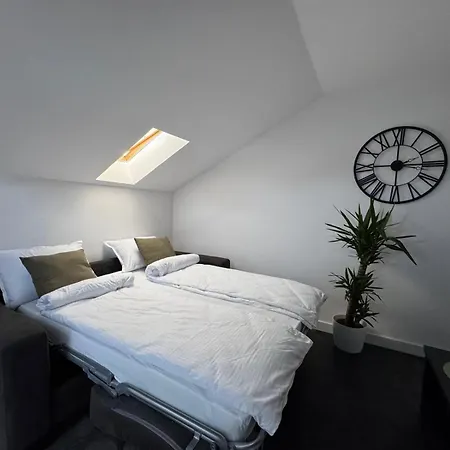 Διαμέρισμα Panda Zorilor