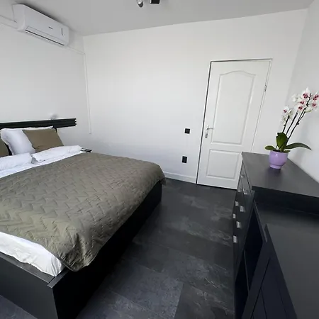 Panda Zorilor * Cluj-Napoca