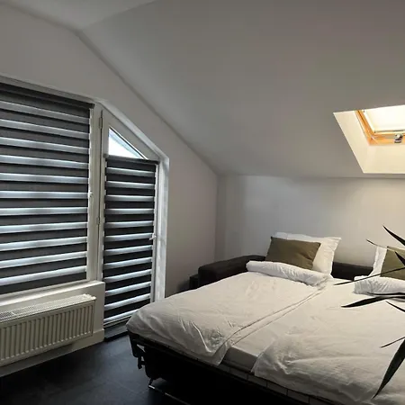 Apartment Panda Zorilor *