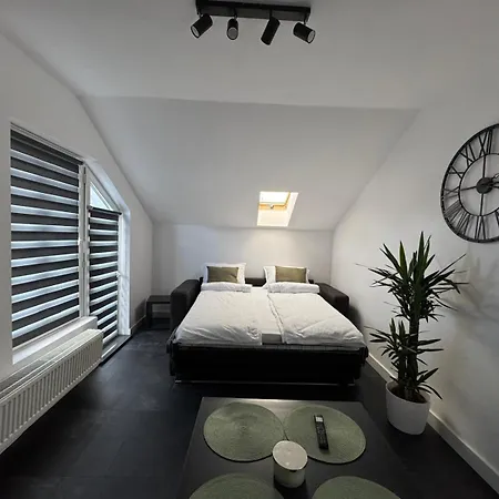 Panda Zorilor Apartment *