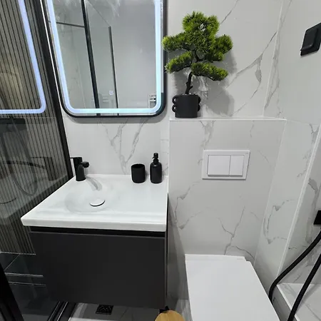 Panda Zorilor Κλουζ-Ναπόκα