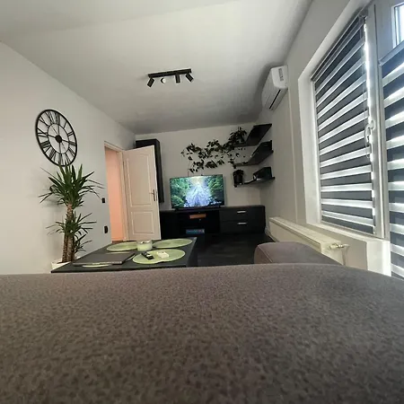 Appartement Panda Zorilor