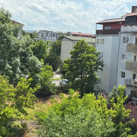 Panda Zorilor Cluj-Napoca