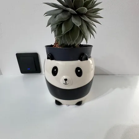 Διαμέρισμα Panda Zorilor *