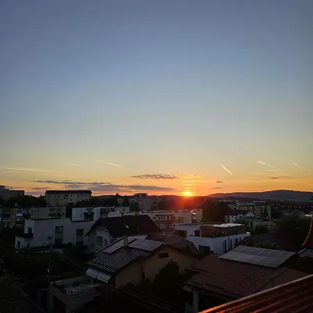 Appartement Panda Zorilor Cluj-Napoca