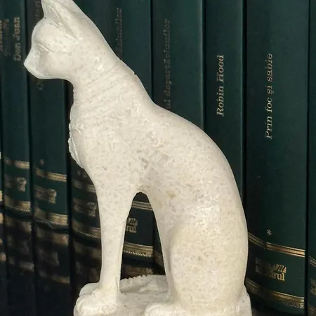 Panda Zorilor Apartment