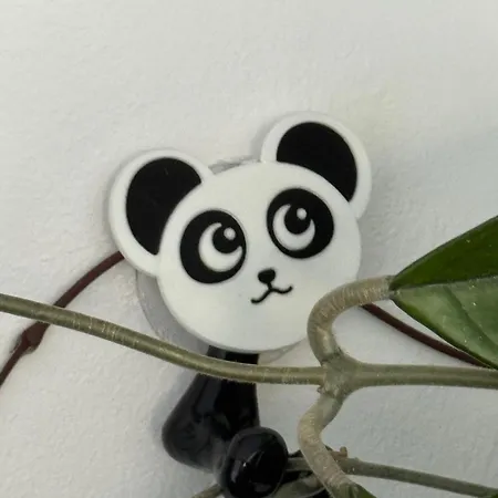 Panda Zorilor 아파트 클루지나포카