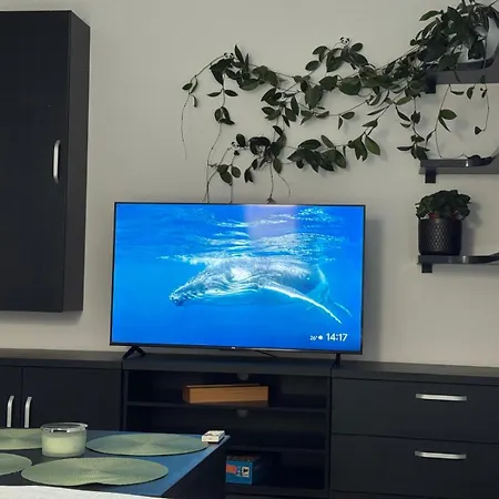 Panda Zorilor Διαμέρισμα *