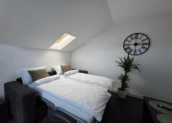 Apartmán Panda Zorilor