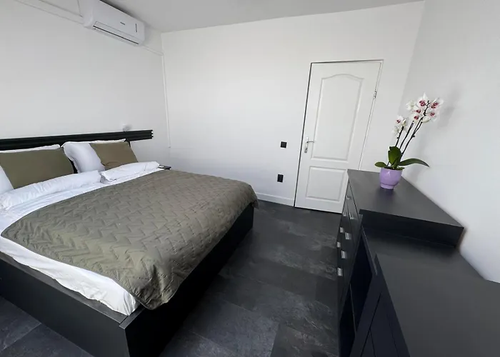 Panda Zorilor * Kluž