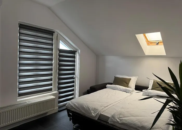 Apartmán Panda Zorilor *