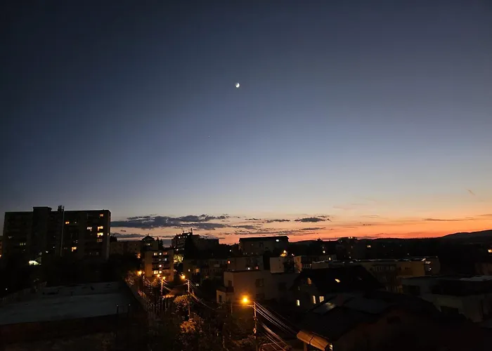 Panda Zorilor * Kluž