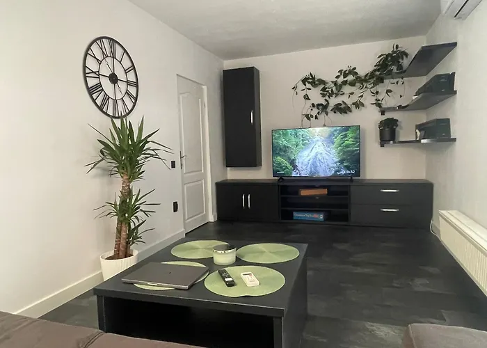 Panda Zorilor * Kluž