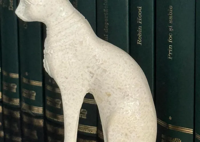 Panda Zorilor Apartmán