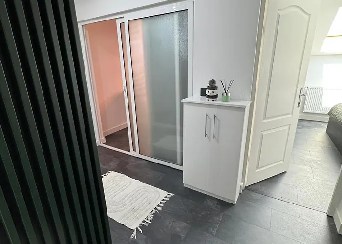 Apartmán Panda Zorilor Kluž