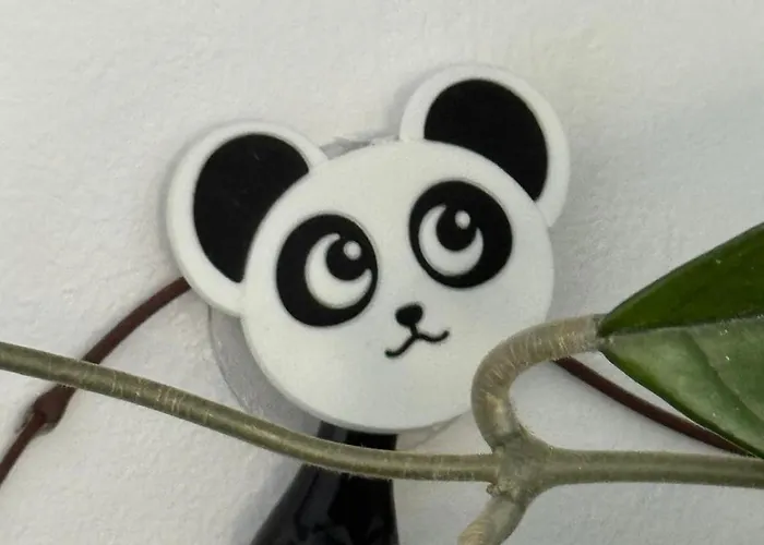 Panda Zorilor Apartmán Kluž