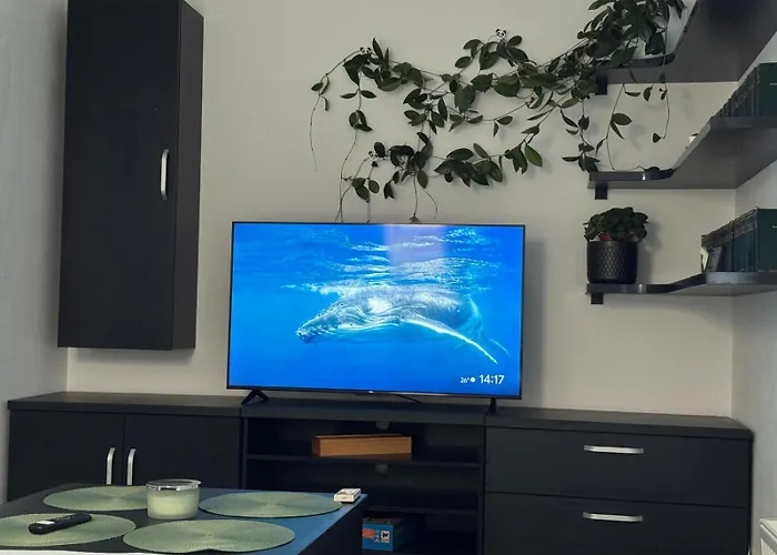 Panda Zorilor Apartmán *